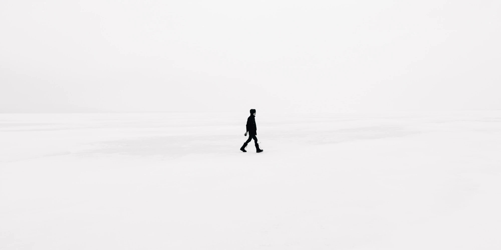 Custom Software Development cover image